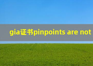 gia证书pinpoints are not shown